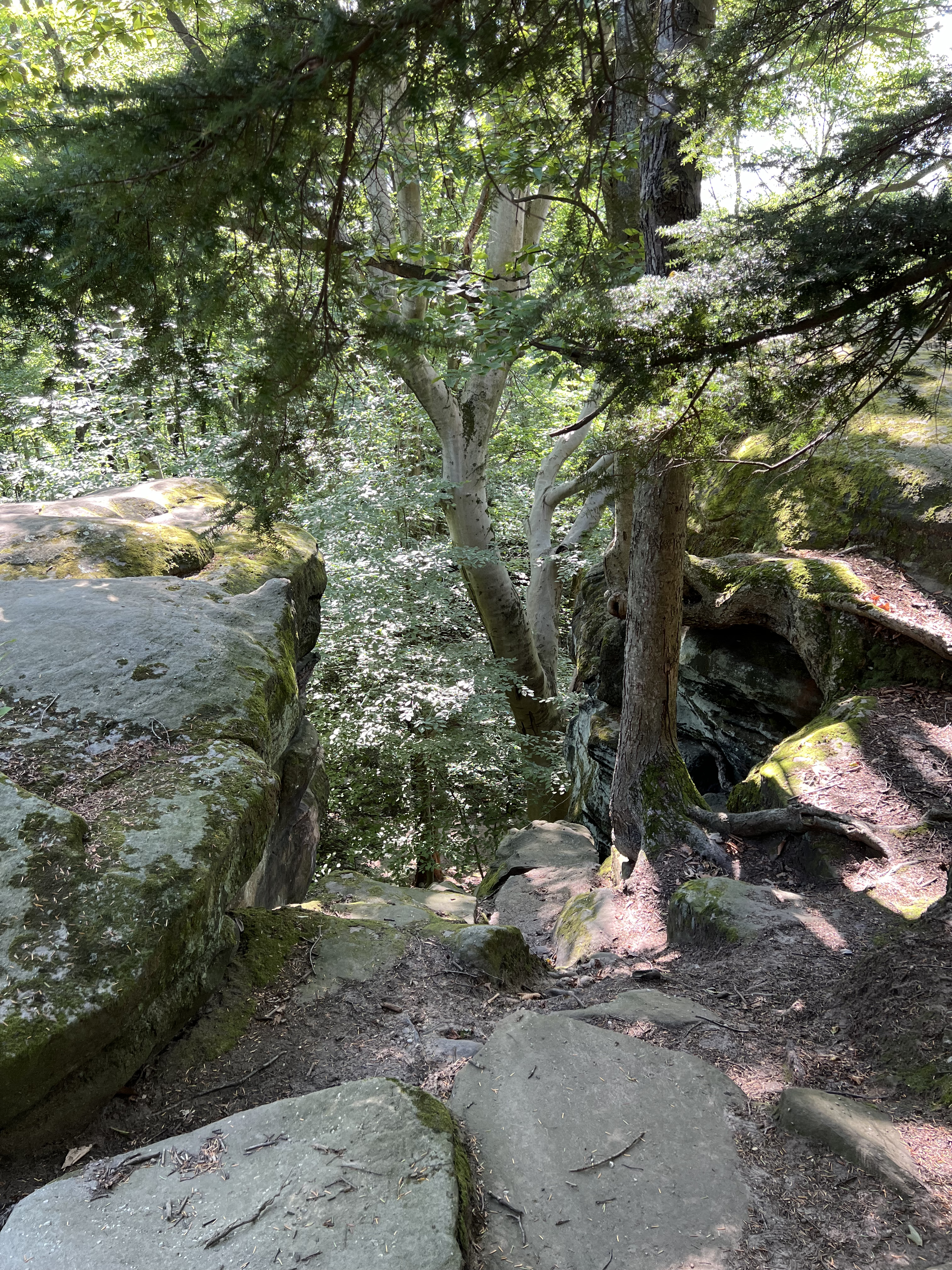 ./2024/09 - Cleveland/IMG_2454.jpg